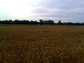 dzia�ki budowlane Ka�mierz - 120z�/m2